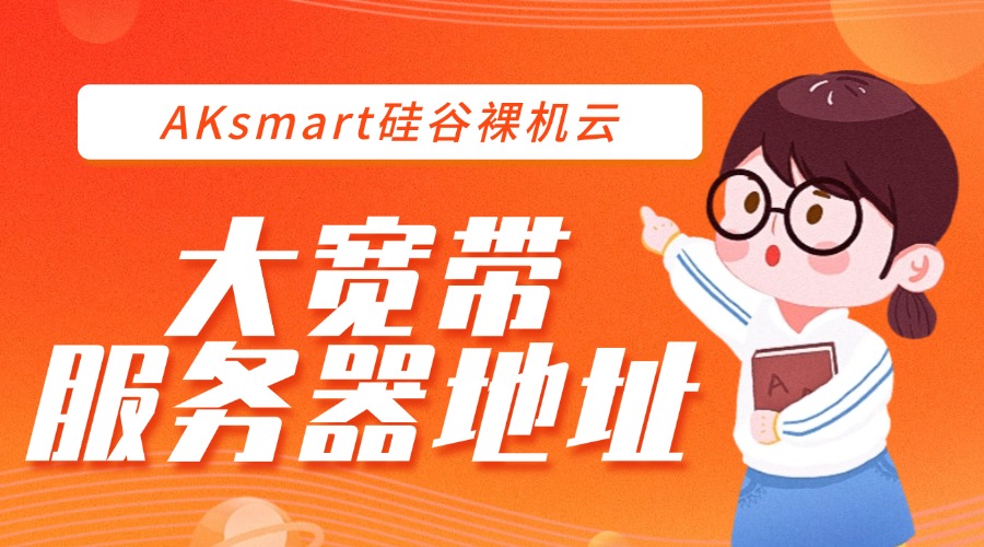 RAKsmart硅谷裸机云大宽带服务器地址