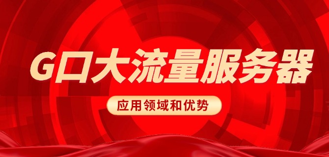 G口大流量服务器应用领域和优势