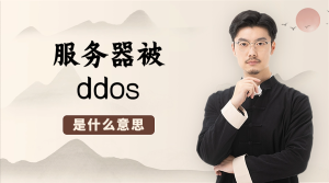 服务器被ddos是什么意思