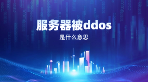 ddos云服务器是什么意思?