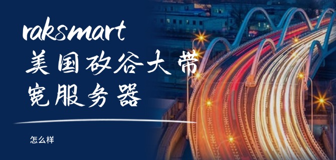 raksmart美国硅谷大带宽服务器怎么样