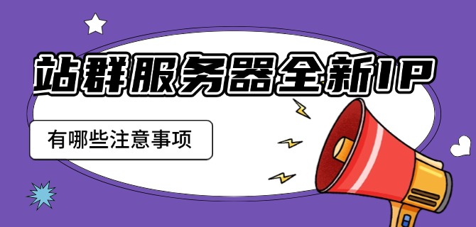 站群服务器全新IP有哪些注意事项