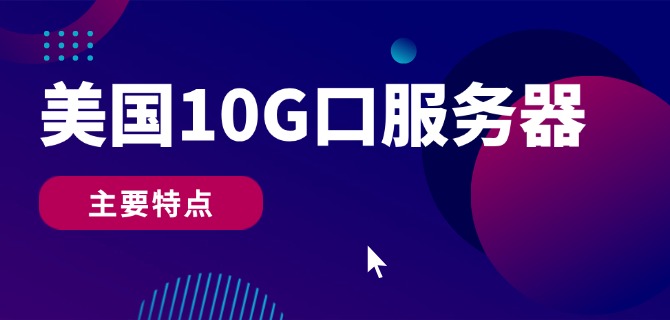 美国10G口服务器主要特点