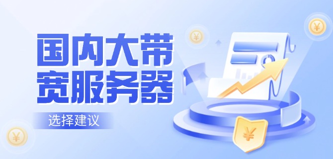 国内大带宽服务器选择建议