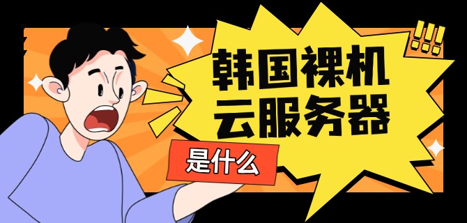 韩国裸机云服务器是什么