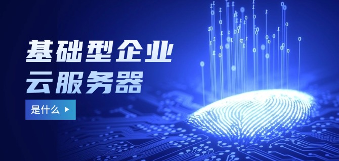 基础型企业云服务器是什么