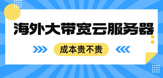 海外大带宽云服务器成本贵不贵