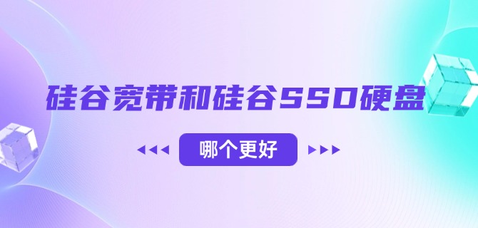 硅谷宽带和硅谷SSD硬盘哪个更好
