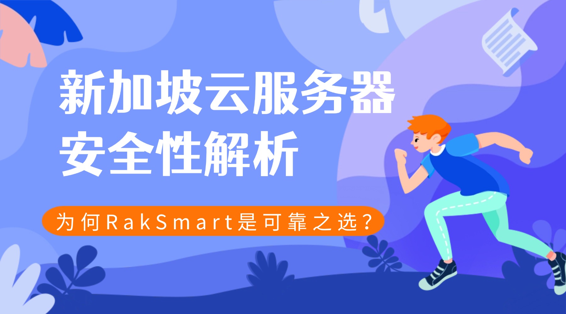 2025 新加坡多IP云服务器使用指南：为什么选择 RakSmart 及最佳实践