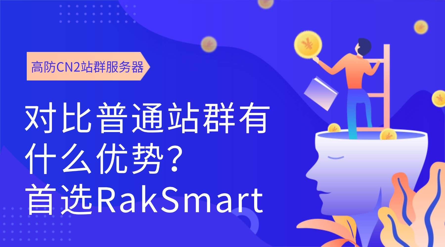 高防CN2站群服务器对比普通站群有什么优势？首选RakSmart