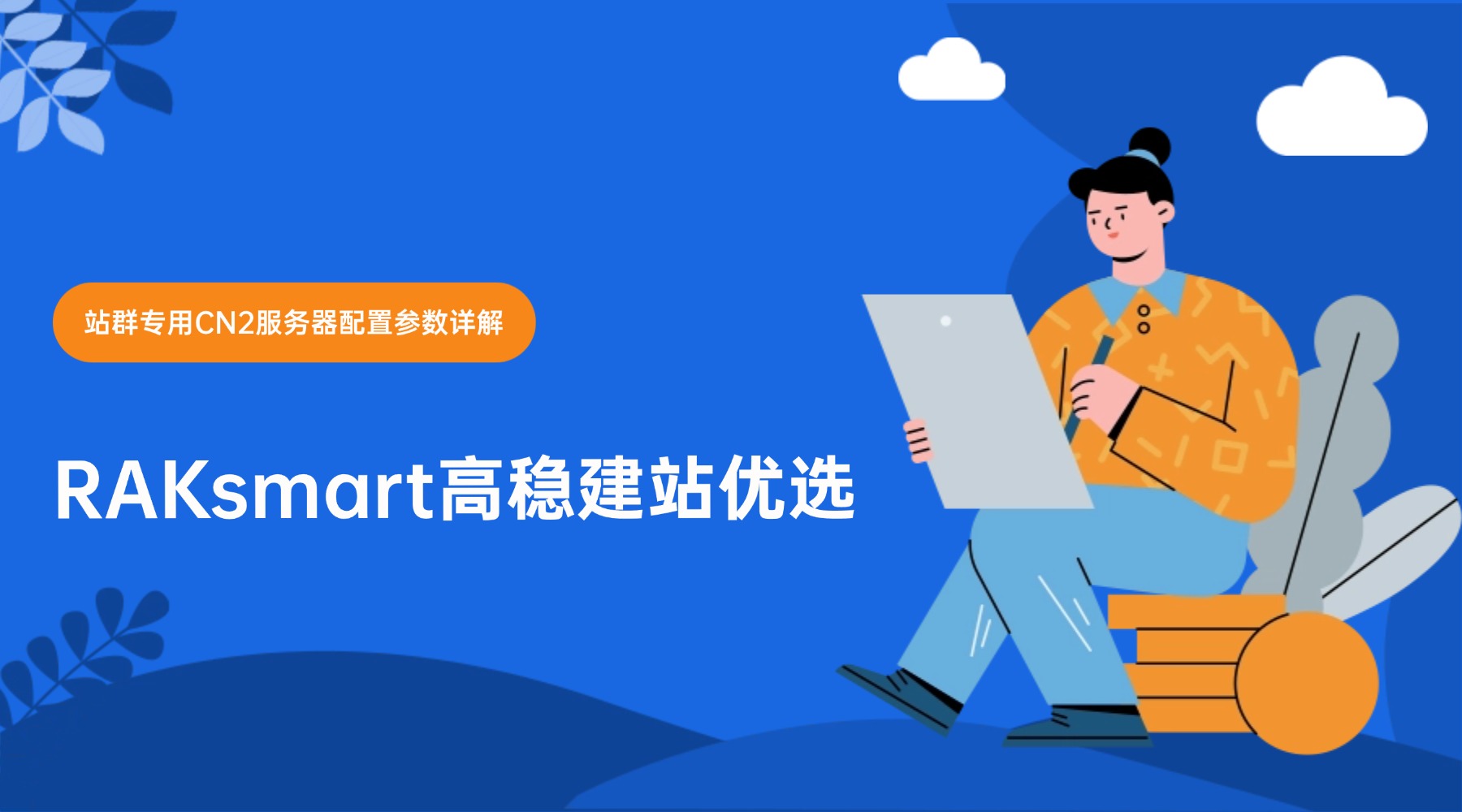 站群专用CN2服务器配置参数详解：RAKsmart高稳建站优选