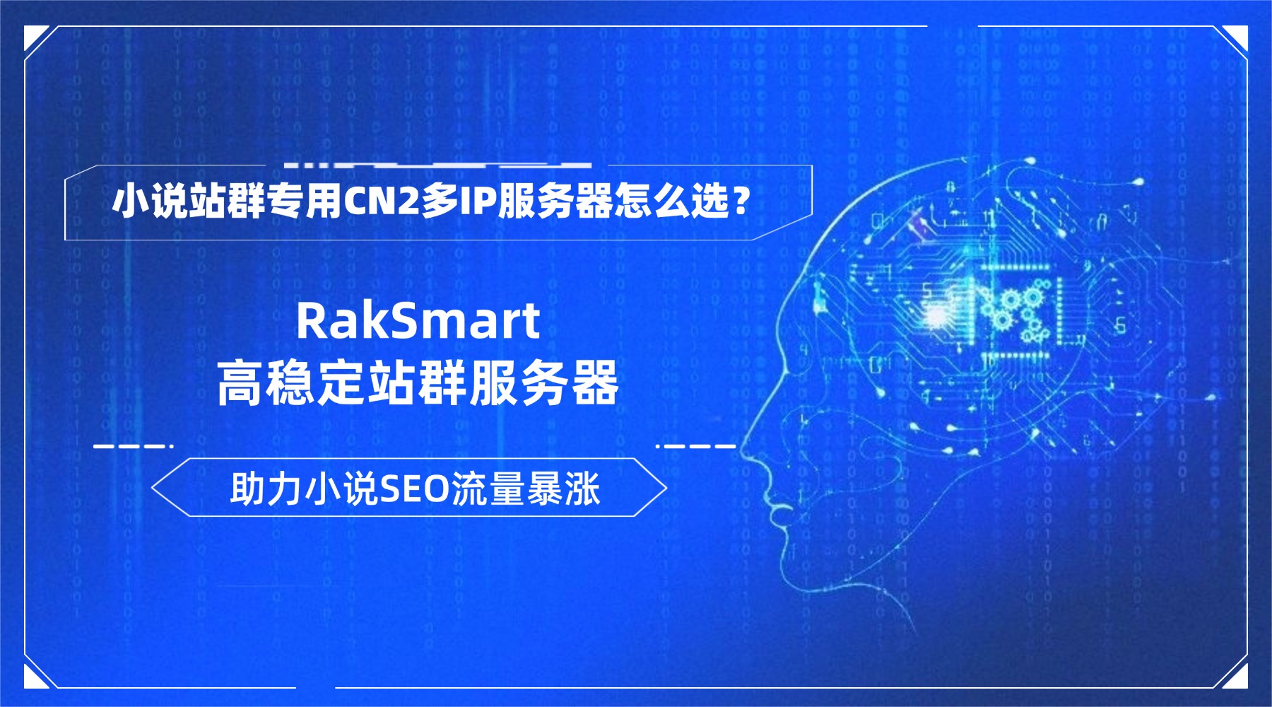 小说站群专用CN2多IP服务器怎么选？RakSmart高稳定站群服务器助力小说SEO流量暴涨