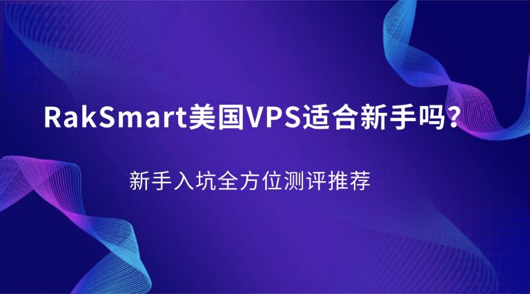 RakSmart美国VPS适合新手吗？新手入坑全方位测评推荐