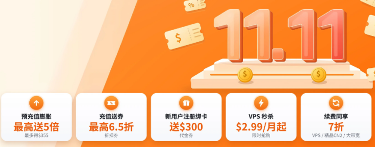 RakSmart 双十一大促来袭 海外 VPS 裸机云年度抄底 出海业务囤机好时机的图片
