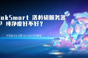RakSmart 洛杉矶服务器 IP 纯净度好不好？外贸独立站 谷歌 SEO 站长实测解答